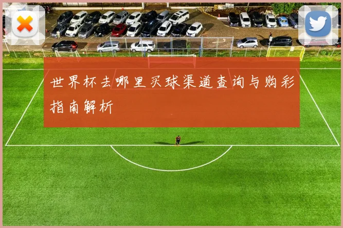 世界杯去哪里买球渠道查询与购彩指南解析