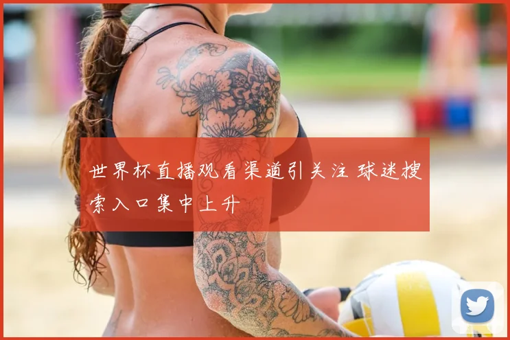 世界杯直播观看渠道引关注 球迷搜索入口集中上升