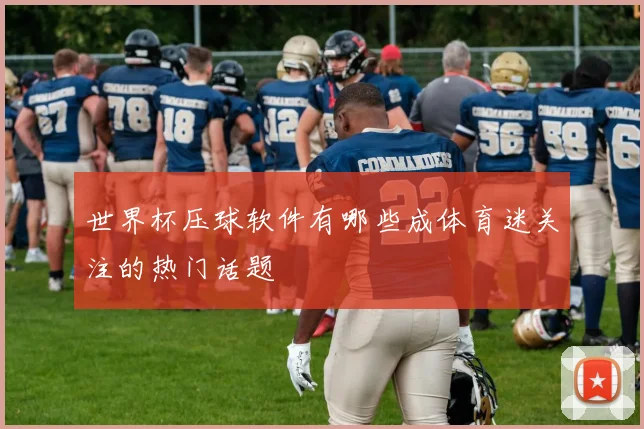 世界杯压球软件有哪些成体育迷关注的热门话题