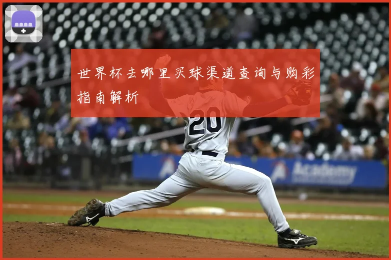 世界杯去哪里买球渠道查询与购彩指南解析
